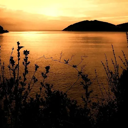 Διαμέρισμα A&l Centro Viveiro