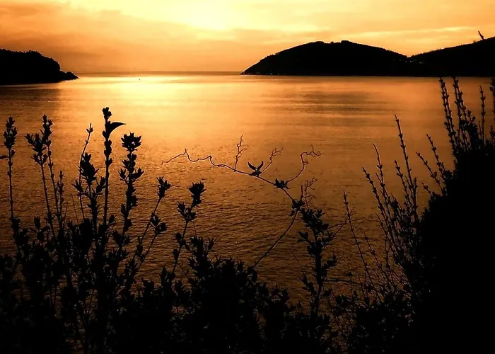 Daire A&l Centro Viveiro